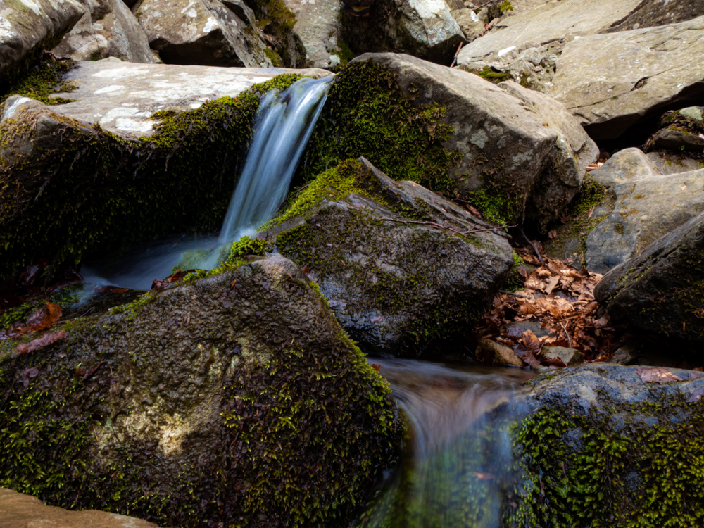 l'acqua